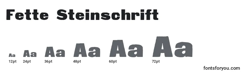 Размеры шрифта Fette Steinschrift
