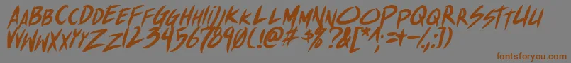 ShinakibapunxBolital Font – Brown Fonts on Gray Background