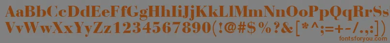 BauerBodoniBlack Font – Brown Fonts on Gray Background
