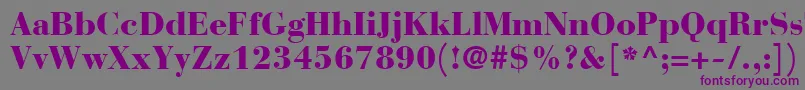 BauerBodoniBlack Font – Purple Fonts on Gray Background