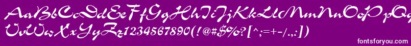 Ukrainianchance Font – White Fonts on Purple Background