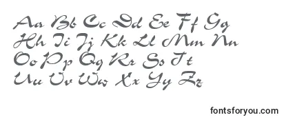 Ukrainianchance Font