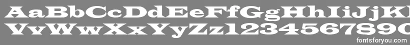 フォントLatin – 灰色の背景に白い文字