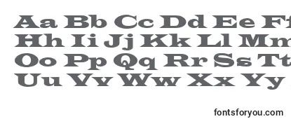 Обзор шрифта Latin