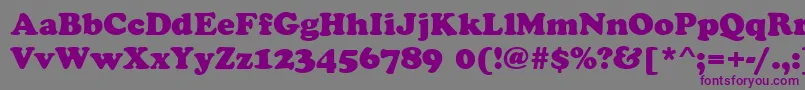 CookieRegular Font – Purple Fonts on Gray Background