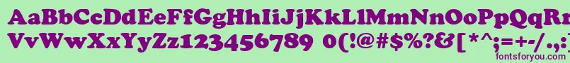 CookieRegular Font – Purple Fonts on Green Background