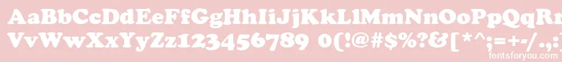 CookieRegular Font – White Fonts on Pink Background