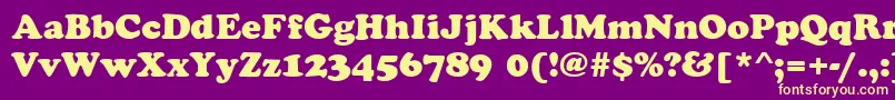 CookieRegular Font – Yellow Fonts on Purple Background