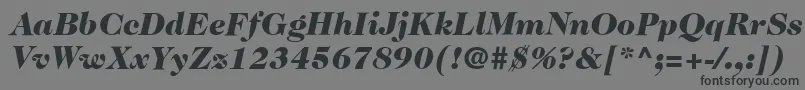 ItcCaslon224LtBlackItalic-fontti – mustat fontit harmaalla taustalla