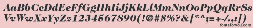 Шрифт ItcCaslon224LtBlackItalic – чёрные шрифты на розовом фоне