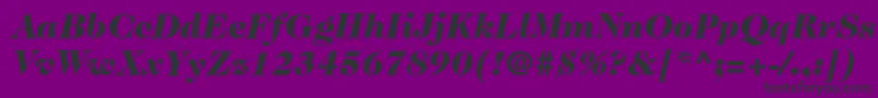 ItcCaslon224LtBlackItalic Font – Black Fonts on Purple Background