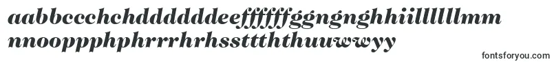 Шрифт ItcCaslon224LtBlackItalic – валлийские шрифты