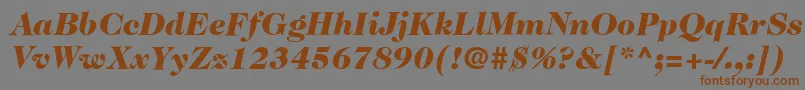 ItcCaslon224LtBlackItalic-fontti – ruskeat fontit harmaalla taustalla
