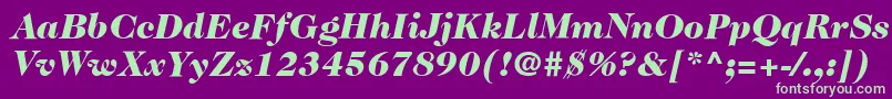 ItcCaslon224LtBlackItalic-fontti – vihreät fontit violetilla taustalla