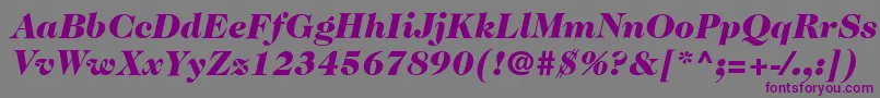 Czcionka ItcCaslon224LtBlackItalic – fioletowe czcionki na szarym tle