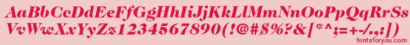 ItcCaslon224LtBlackItalic Font – Red Fonts on Pink Background