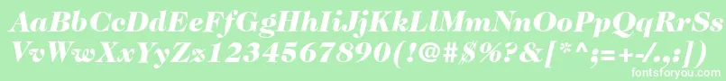 フォントItcCaslon224LtBlackItalic – 緑の背景に白い文字