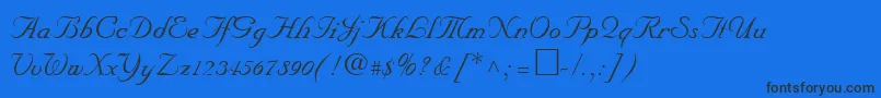 NiklasRegular Font – Black Fonts on Blue Background