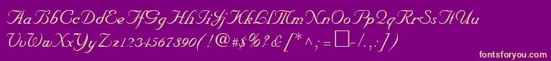 NiklasRegular Font – Yellow Fonts on Purple Background