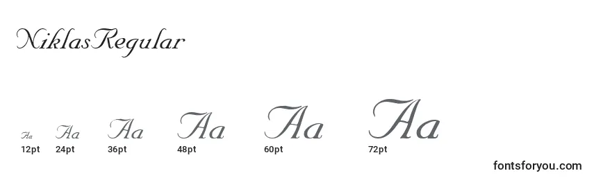 Размеры шрифта NiklasRegular