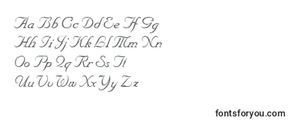 NiklasRegular Font