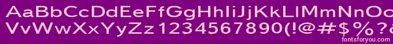Textbook150n Font – Pink Fonts on Purple Background
