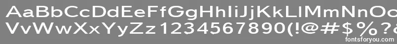 Шрифт Textbook150n – белые шрифты на сером фоне