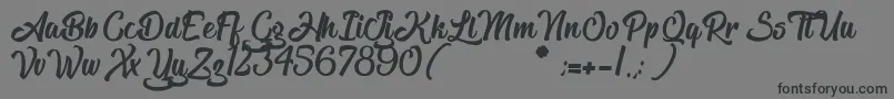 TheBlacklist Font – Black Fonts on Gray Background