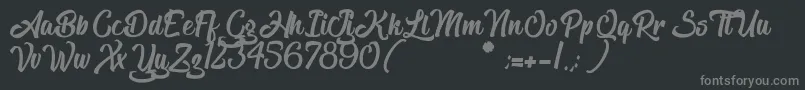 TheBlacklist Font – Gray Fonts on Black Background