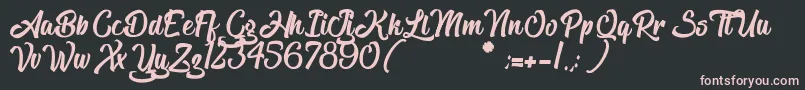 TheBlacklist Font – Pink Fonts on Black Background