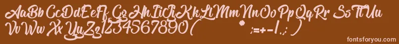 TheBlacklist Font – Pink Fonts on Brown Background