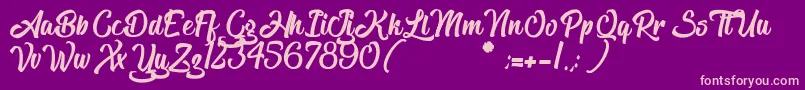 TheBlacklist Font – Pink Fonts on Purple Background