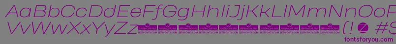 HeadingProWideExtralightItalicTrial Font – Purple Fonts on Gray Background