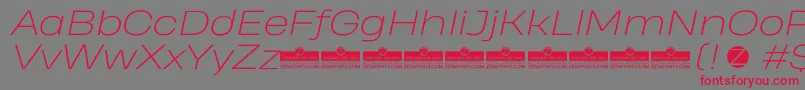 HeadingProWideExtralightItalicTrial Font – Red Fonts on Gray Background