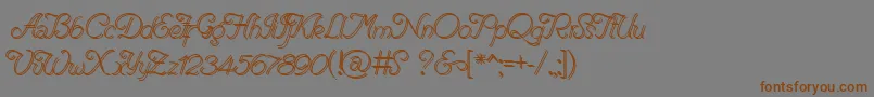RenaniaDoubleLine Font – Brown Fonts on Gray Background