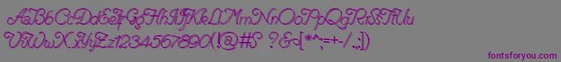 RenaniaDoubleLine-fontti – violetit fontit harmaalla taustalla