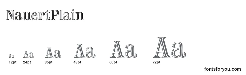 NauertPlain Font Sizes