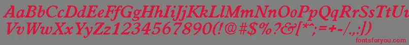 フォントWorchesterDemiboldita – 赤い文字の灰色の背景