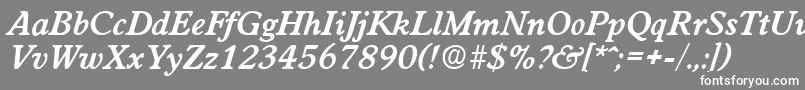 WorchesterDemiboldita Font – White Fonts on Gray Background