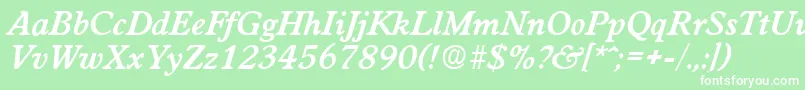 フォントWorchesterDemiboldita – 緑の背景に白い文字