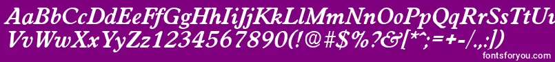 WorchesterDemiboldita Font – White Fonts on Purple Background