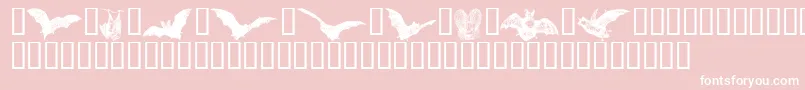 Batbats Font – White Fonts on Pink Background