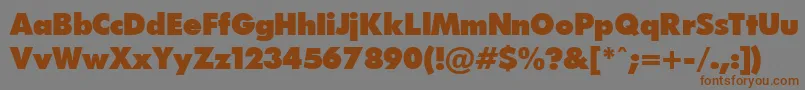 FuturapressPress.Ver.1.15 Font – Brown Fonts on Gray Background