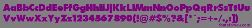 FuturapressPress.Ver.1.15 Font – Purple Fonts on Gray Background