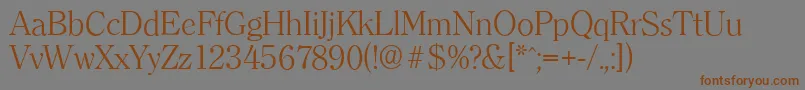 ClearfaceserialLightRegular Font – Brown Fonts on Gray Background