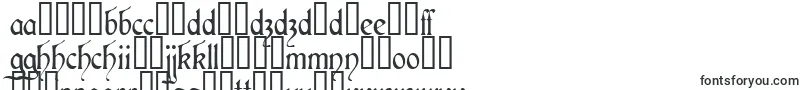 Aneirin Font – Slovak Fonts