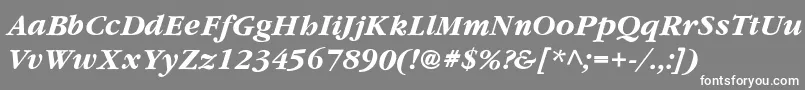 YearlindThinItalic Font – White Fonts on Gray Background