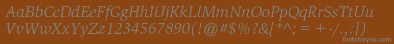 SlimbachstdBookitalic-fontti – harmaat kirjasimet ruskealla taustalla