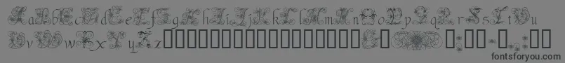 AndradeSwash-Schriftart – Schwarze Schriften auf grauem Hintergrund