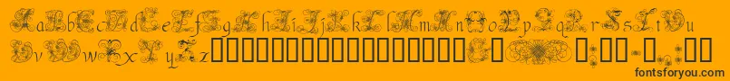 AndradeSwash-Schriftart – Schwarze Schriften auf orangefarbenem Hintergrund